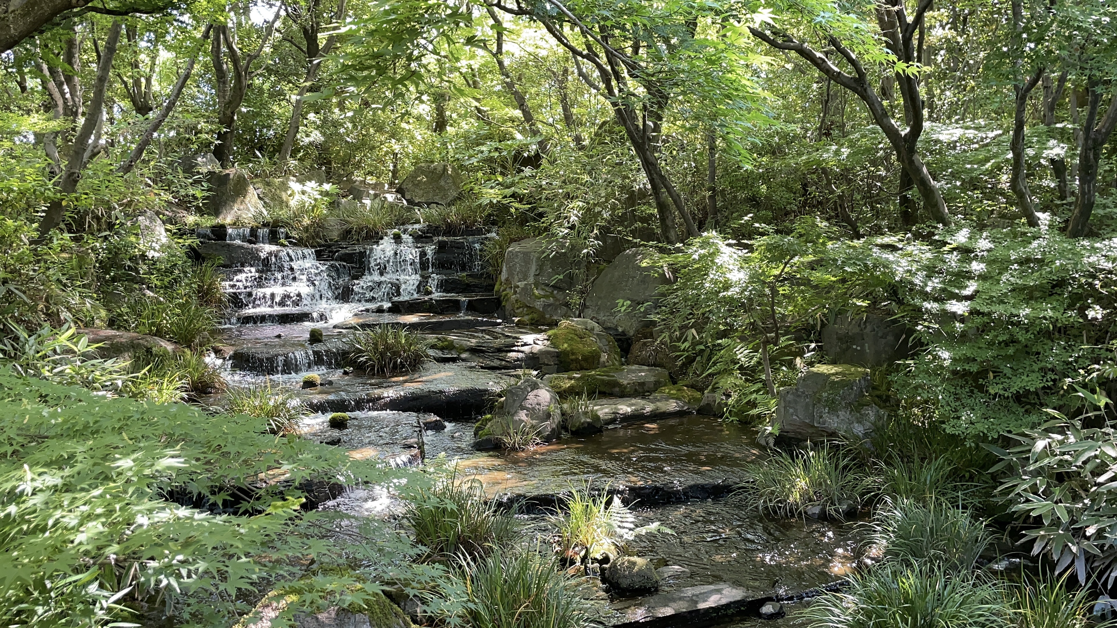 Image 6